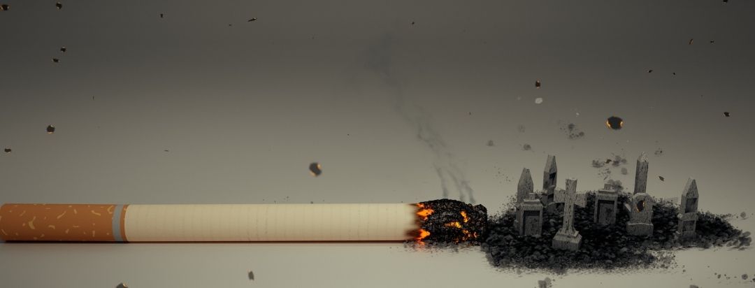 10 Claves para dejar los Porros
