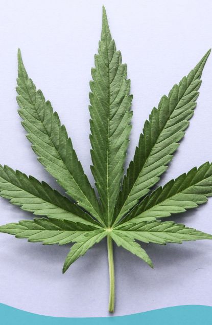 tratamiento-adiccion-cannabis-reinservida